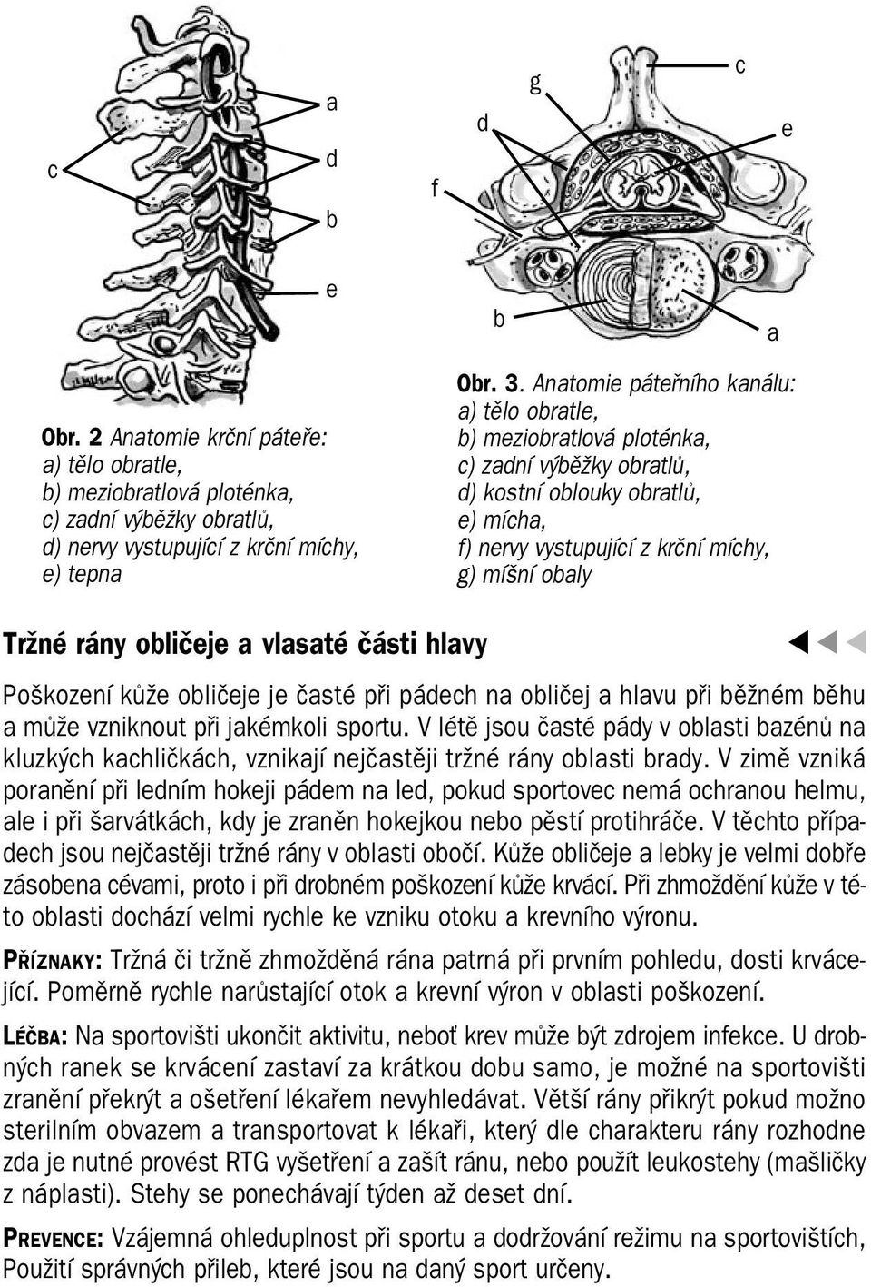 obličeje a vlasaté části hlavy Poškození kůže obličeje je časté při pádech na obličej a hlavu při běžném běhu a může vzniknout při jakémkoli sportu.