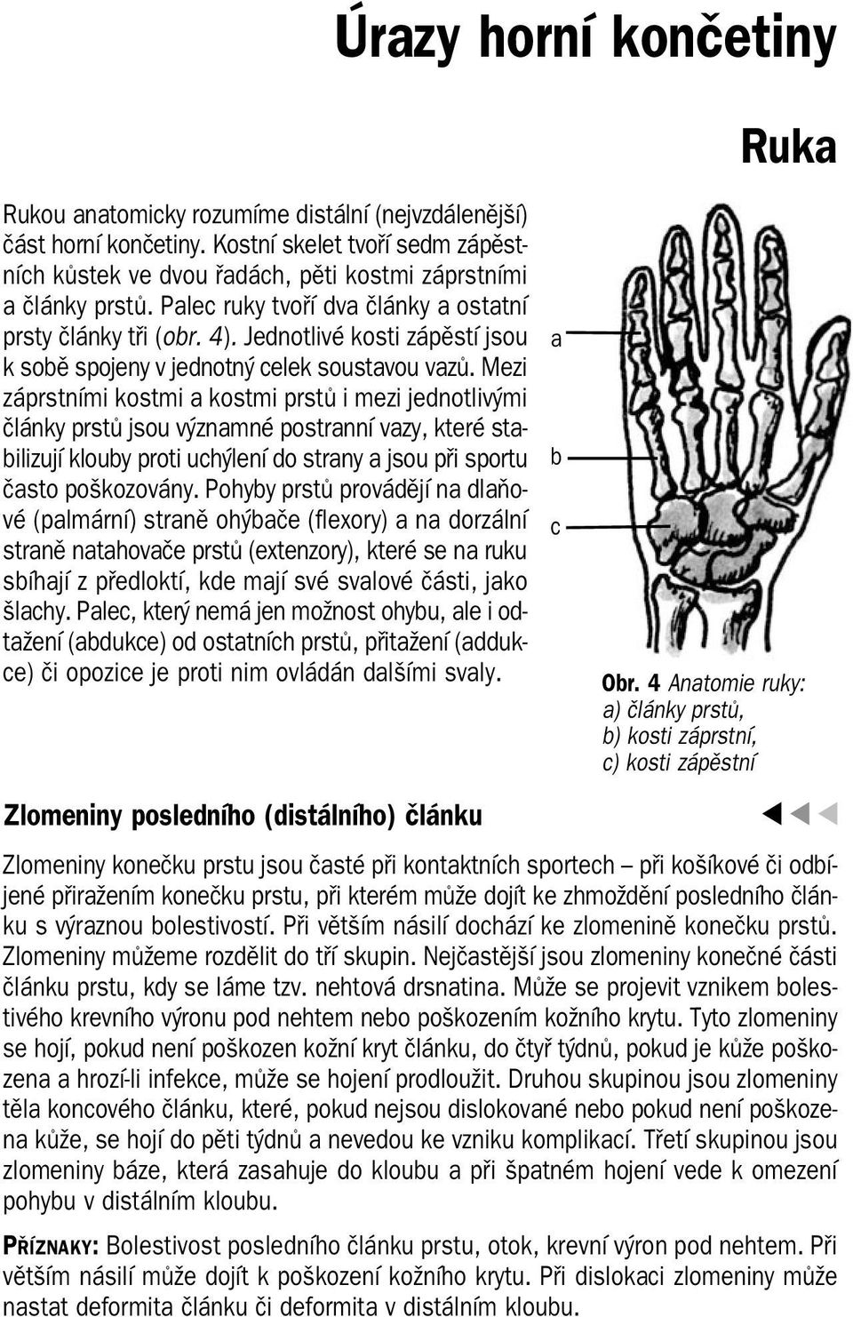 Mezi záprstními kostmi a kostmi prstů i mezi jednotlivými články prstů jsou významné postranní vazy, které sta bilizují klouby proti uchýlení do strany a jsou při sportu často poškozovány.