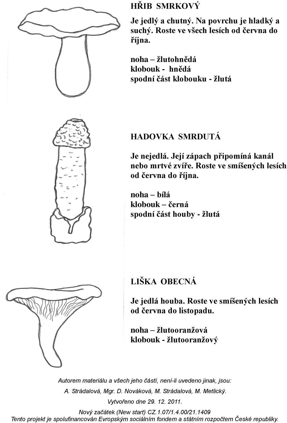 Její zápach připomíná kanál nebo mrtvé zvíře. Roste ve smíšených lesích od června do října.