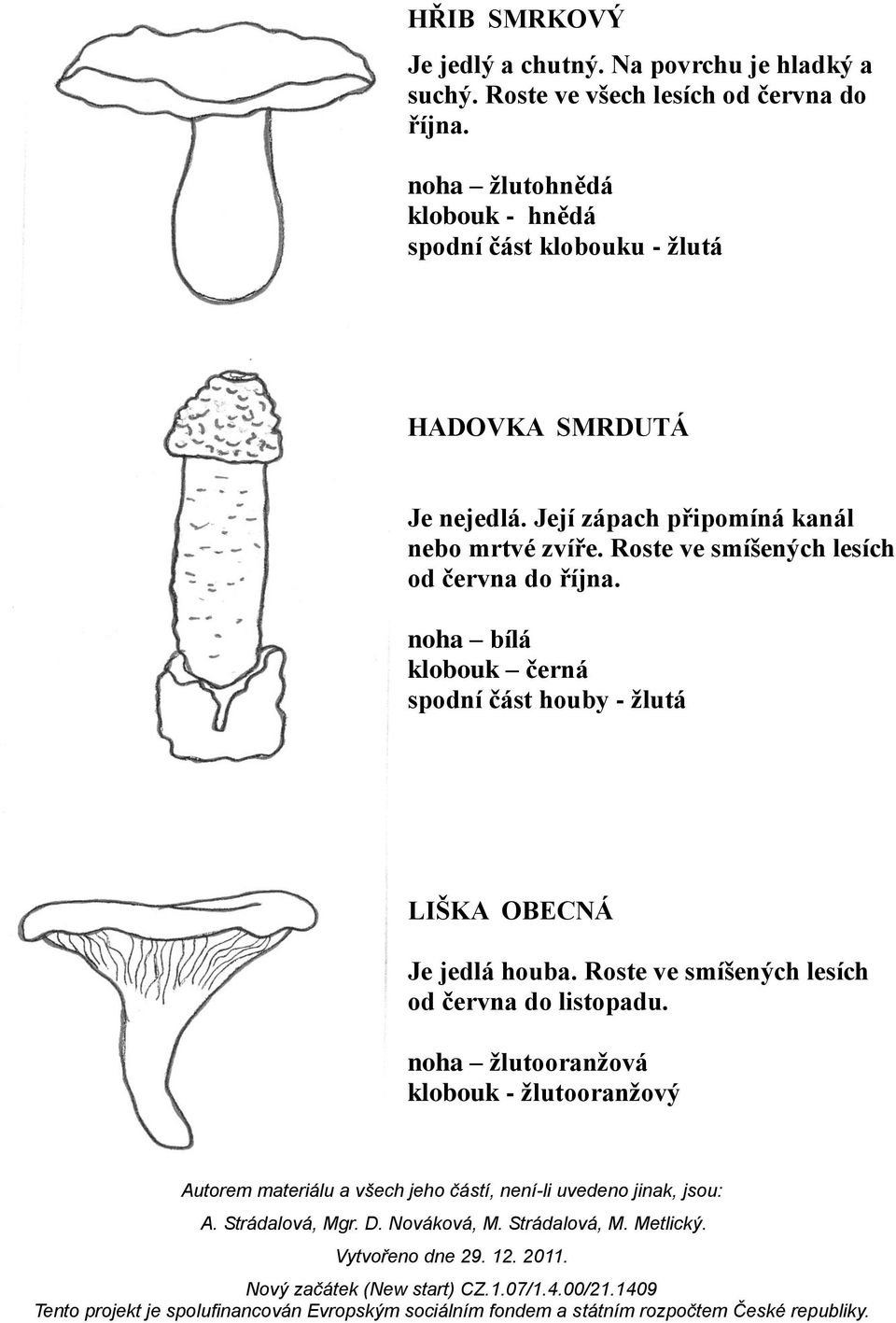 Její zápach připomíná kanál nebo mrtvé zvíře. Roste ve smíšených lesích od června do října.