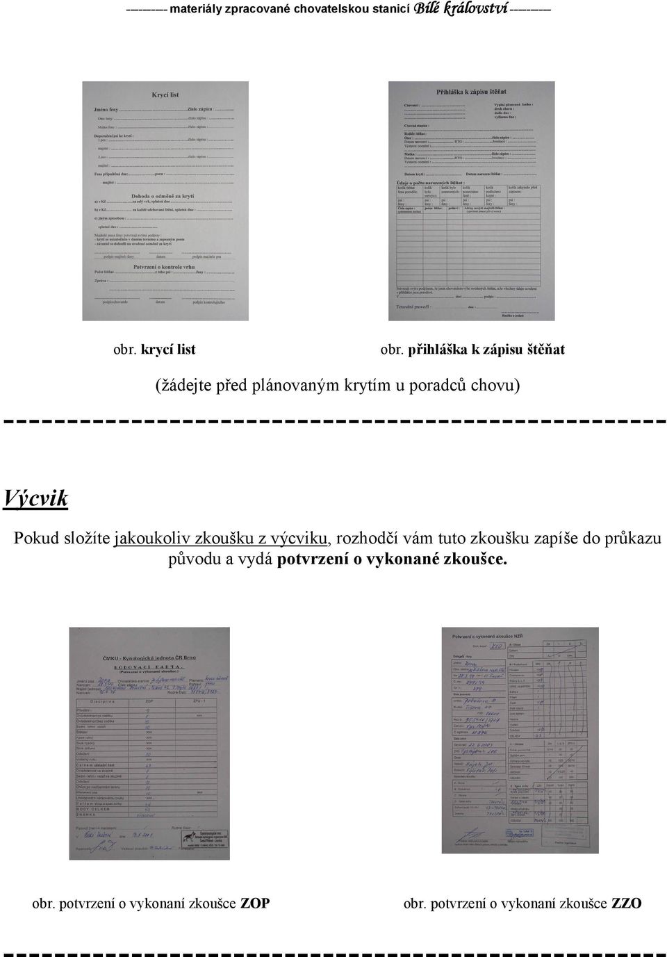 Výcvik Pokud složíte jakoukoliv zkoušku z výcviku, rozhodčí vám tuto zkoušku