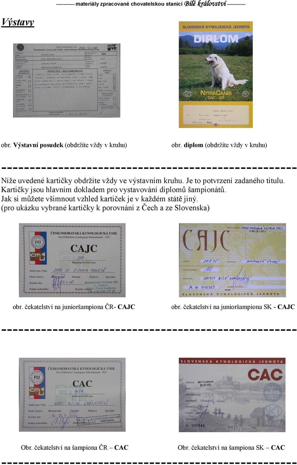Kartičky jsou hlavním dokladem pro vystavování diplomů šampionátů. Jak si můžete všimnout vzhled kartiček je v každém státě jiný.