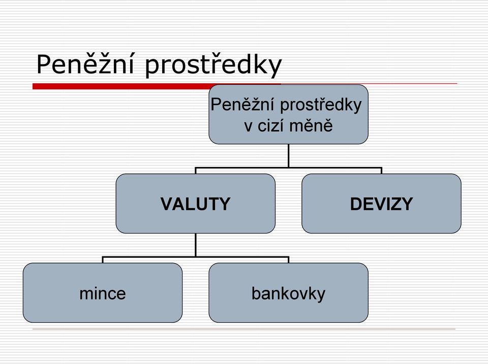 v cizí měně VALUTY