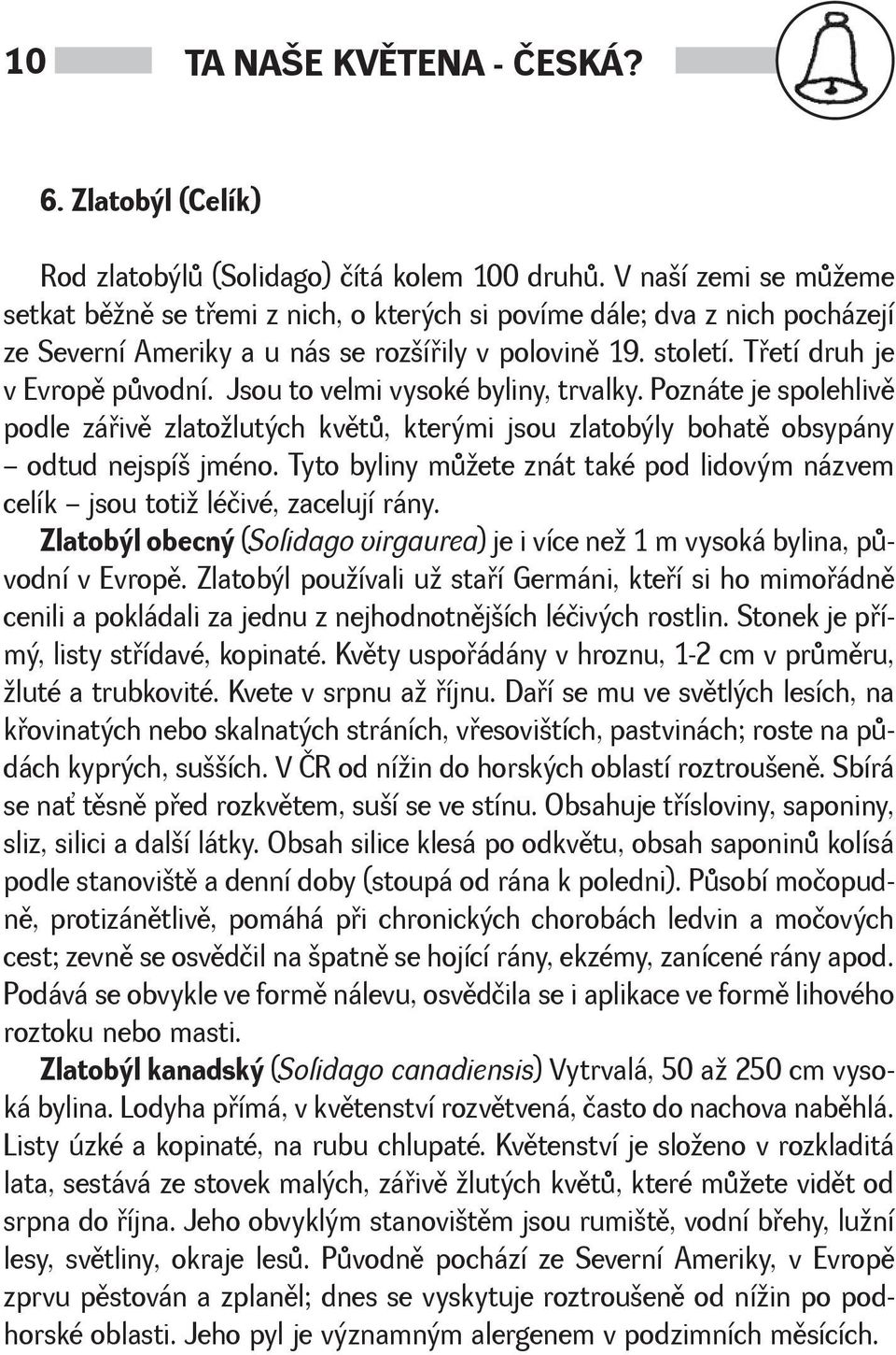 Jsou to velmi vysoké byliny, trvalky. Poznáte je spolehlivì podle záøivì zlatolutých kvìtù, kterými jsou zlatobýly bohatì obsypány odtud nejspí jméno.