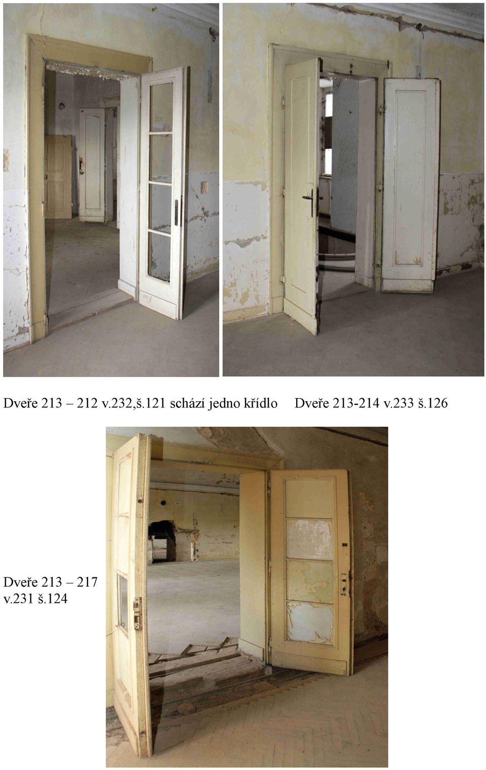 Dveře 213 217 v.231 š.