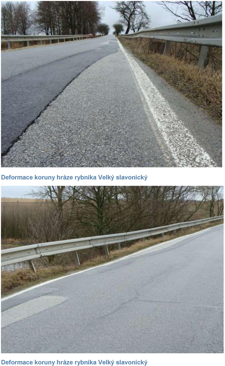 slavonický   slavonický