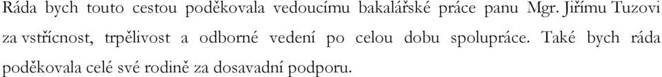 Jiřímu Tuzovi za vstřícnost, trpělivost a odborné