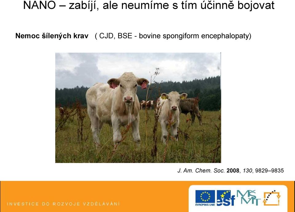 BSE - bovine spongiform