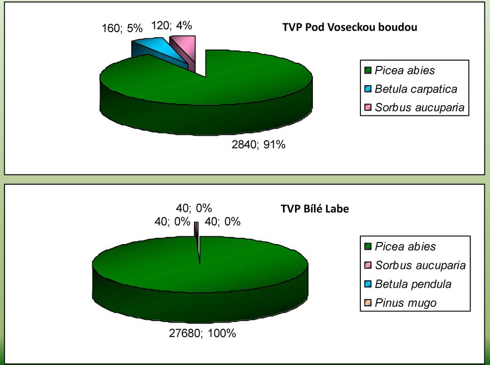 40; 0% 40; 0% 40; 0% TVP Bílé Labe Picea abies