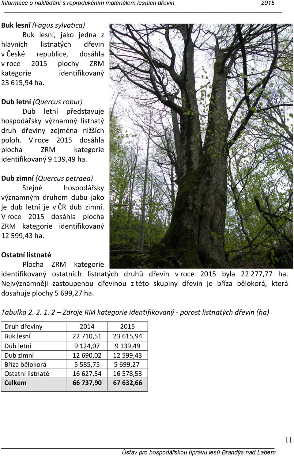 V roce 2015 dosáhla plocha ZRM kategorie identifikovaný 9 139,49 ha. Dub zimní (Quercus petraea) Stejně hospodářsky významným druhem dubu jako je dub letní je v ČR dub zimní.