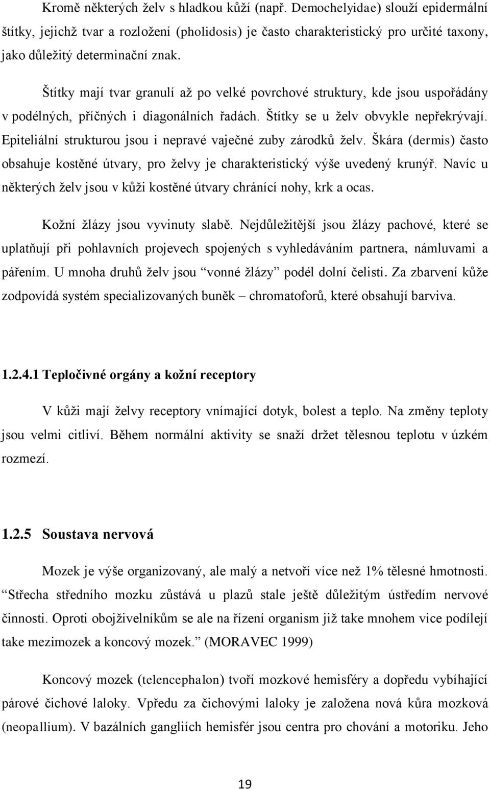 Epiteliální strukturou jsou i nepravé vaječné zuby zárodků želv. Škára (dermis) často obsahuje kostěné útvary, pro želvy je charakteristický výše uvedený krunýř.