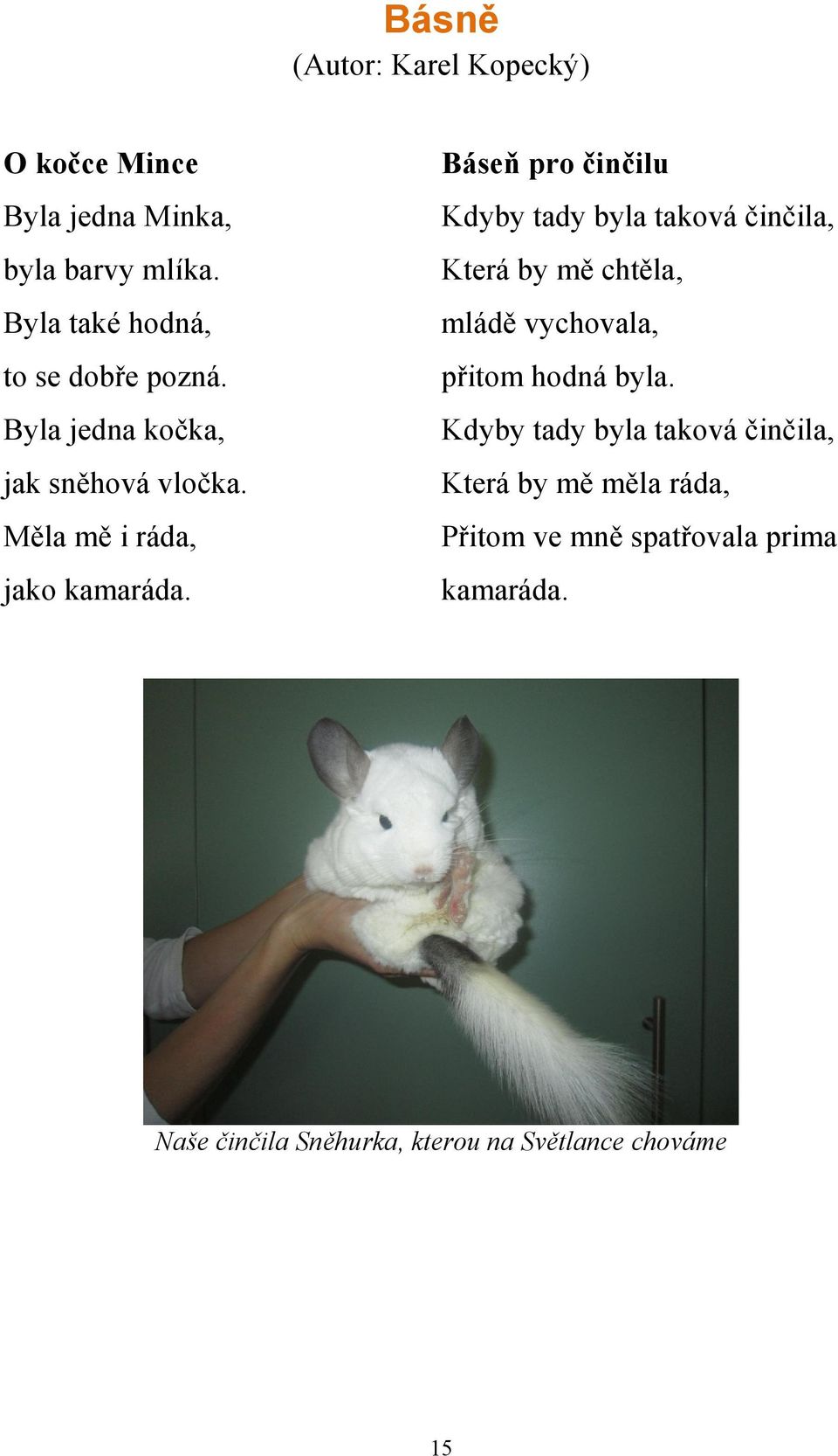 Báseň pro činčilu Kdyby tady byla taková činčila, Která by mě chtěla, mládě vychovala, přitom hodná byla.