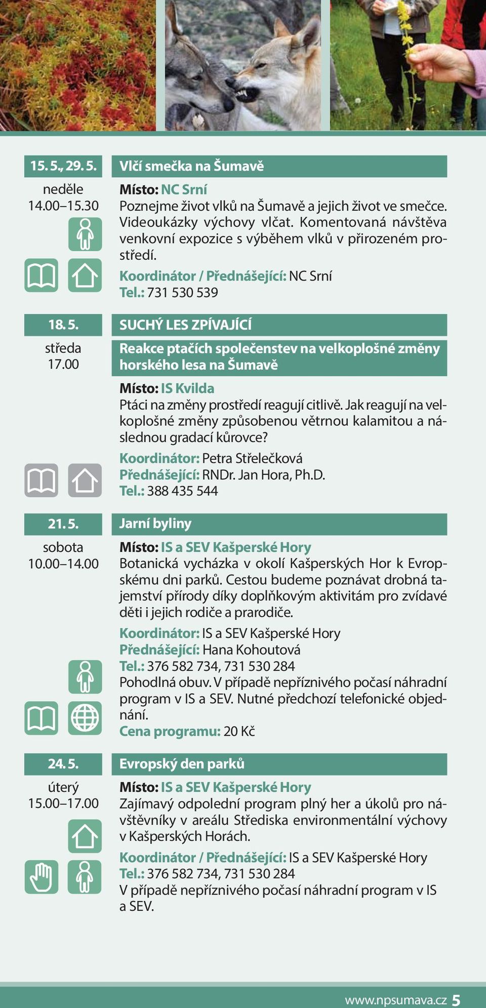 : 731 530 539 SUCHÝ LES ZPÍVAJÍCÍ Reakce ptačích společenstev na velkoplošné změny horského lesa na Šumavě Místo: IS Kvilda Ptáci na změny prostředí reagují citlivě.