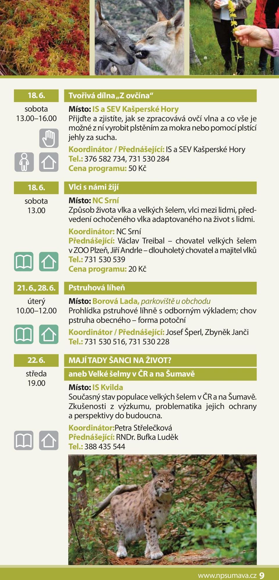 Cena programu: 50 Kč Vlci s námi žijí Místo: NC Srní Způsob života vlka a velkých šelem, vlci mezi lidmi, předvedení ochočeného vlka adaptovaného na život s lidmi.