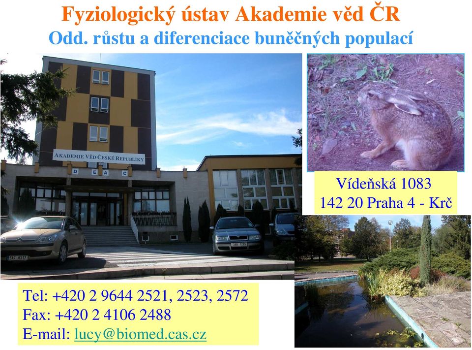 1083 142 20 Praha 4 - Krč Tel: +420 2 9644 2521,