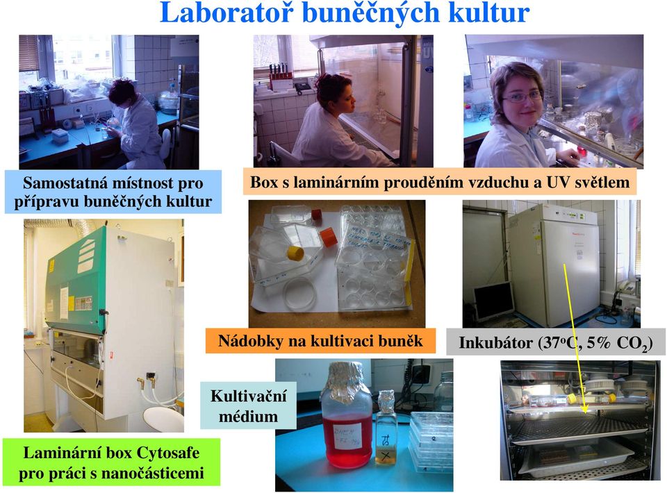 světlem Nádobky na kultivaci buněk Inkubátor (37 o C, 5% CO 2