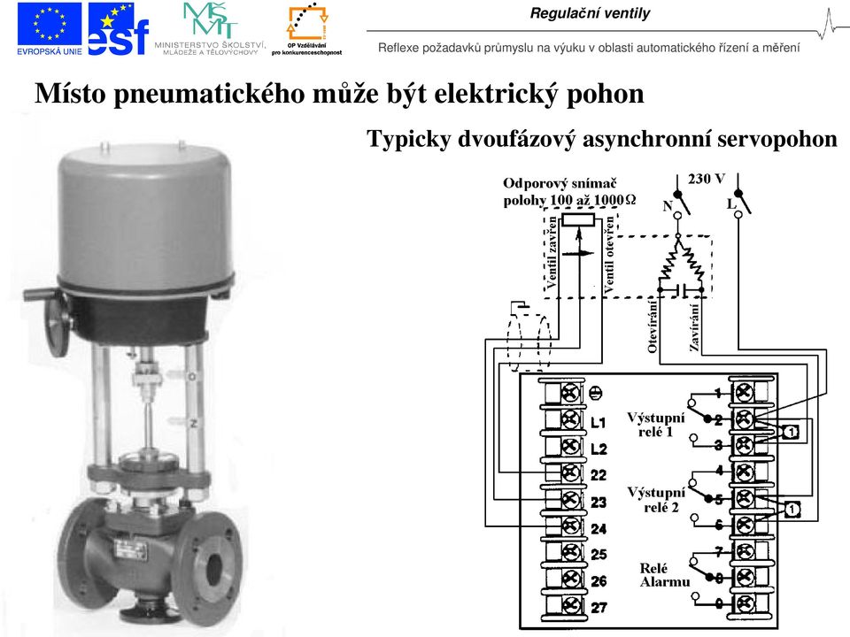 pohon Typicky