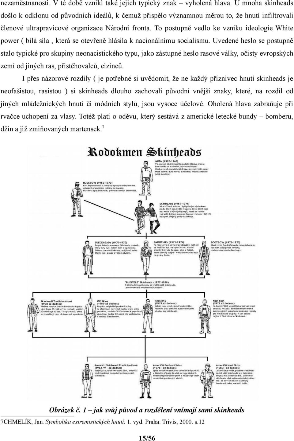 To postupně vedlo ke vzniku ideologie White power ( bílá síla, která se otevřeně hlásila k nacionálnímu socialismu.