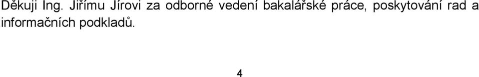 vedení bakalářské práce,