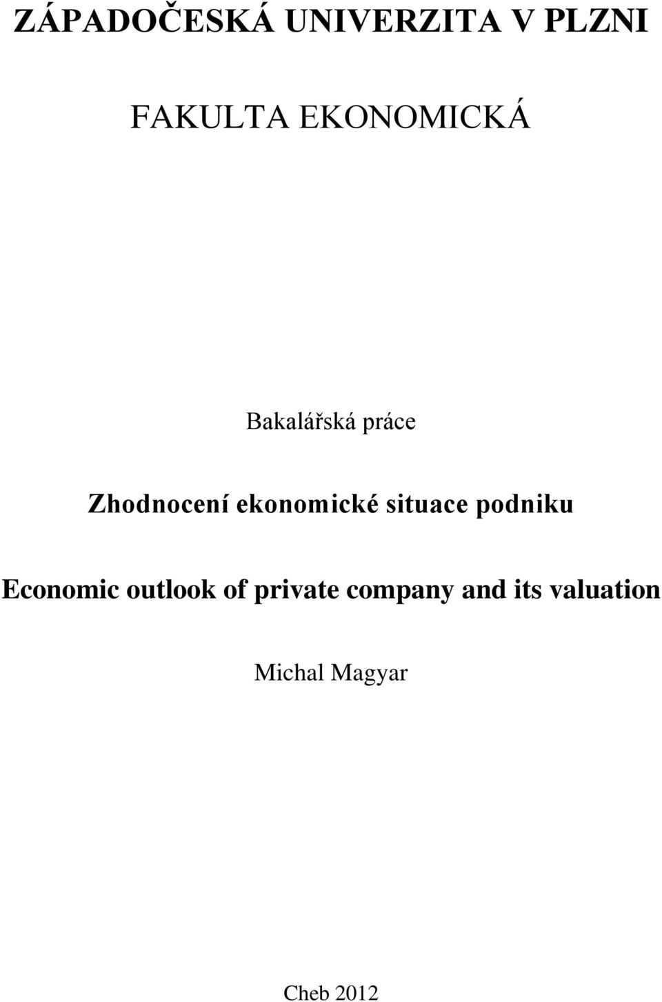 ekonomické situace podniku Economic outlook