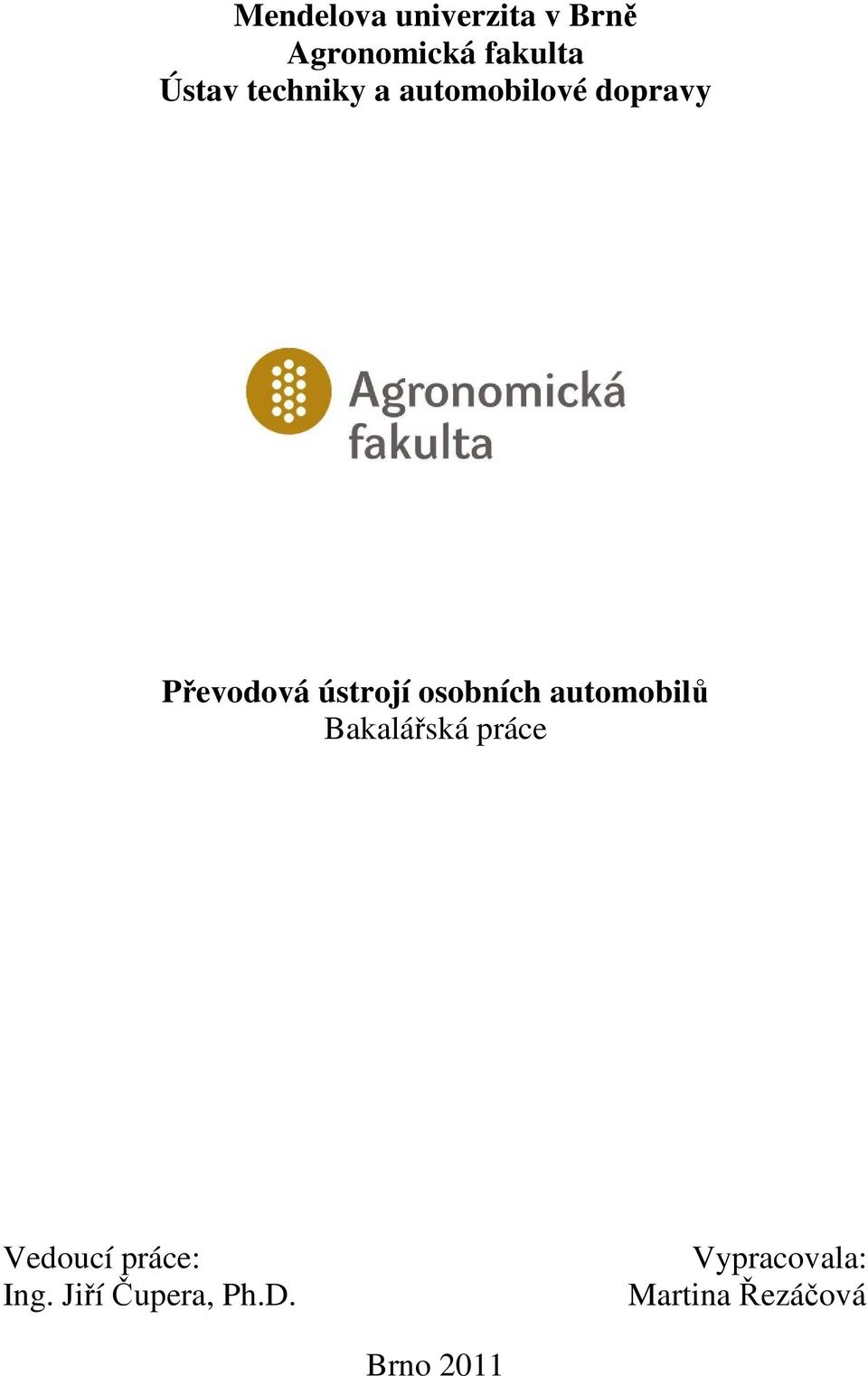 osobních automobilů Bakalářská práce Vedoucí práce: