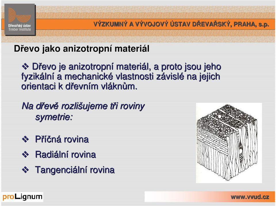 orientaci k dřevním m vlákn knům.