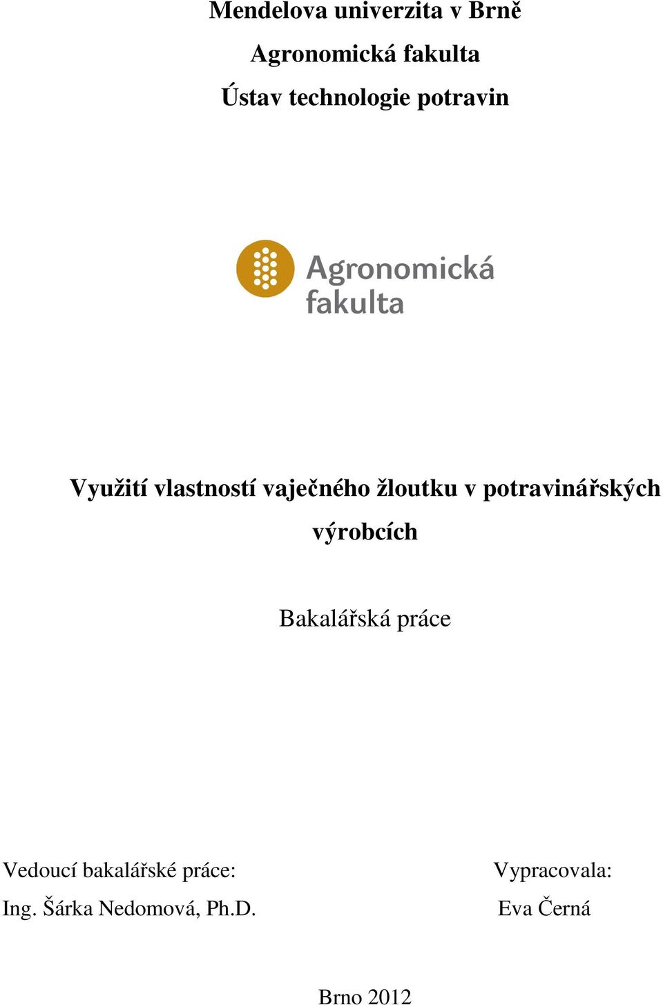 potravinářských výrobcích Bakalářská práce Vedoucí