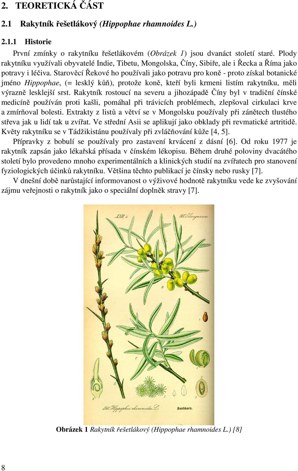 Starověcí Řekové ho používali jako potravu pro koně - proto získal botanické jméno Hippophae, (= lesklý kůň), protože koně, kteří byli krmeni listím rakytníku, měli výrazně lesklejší srst.