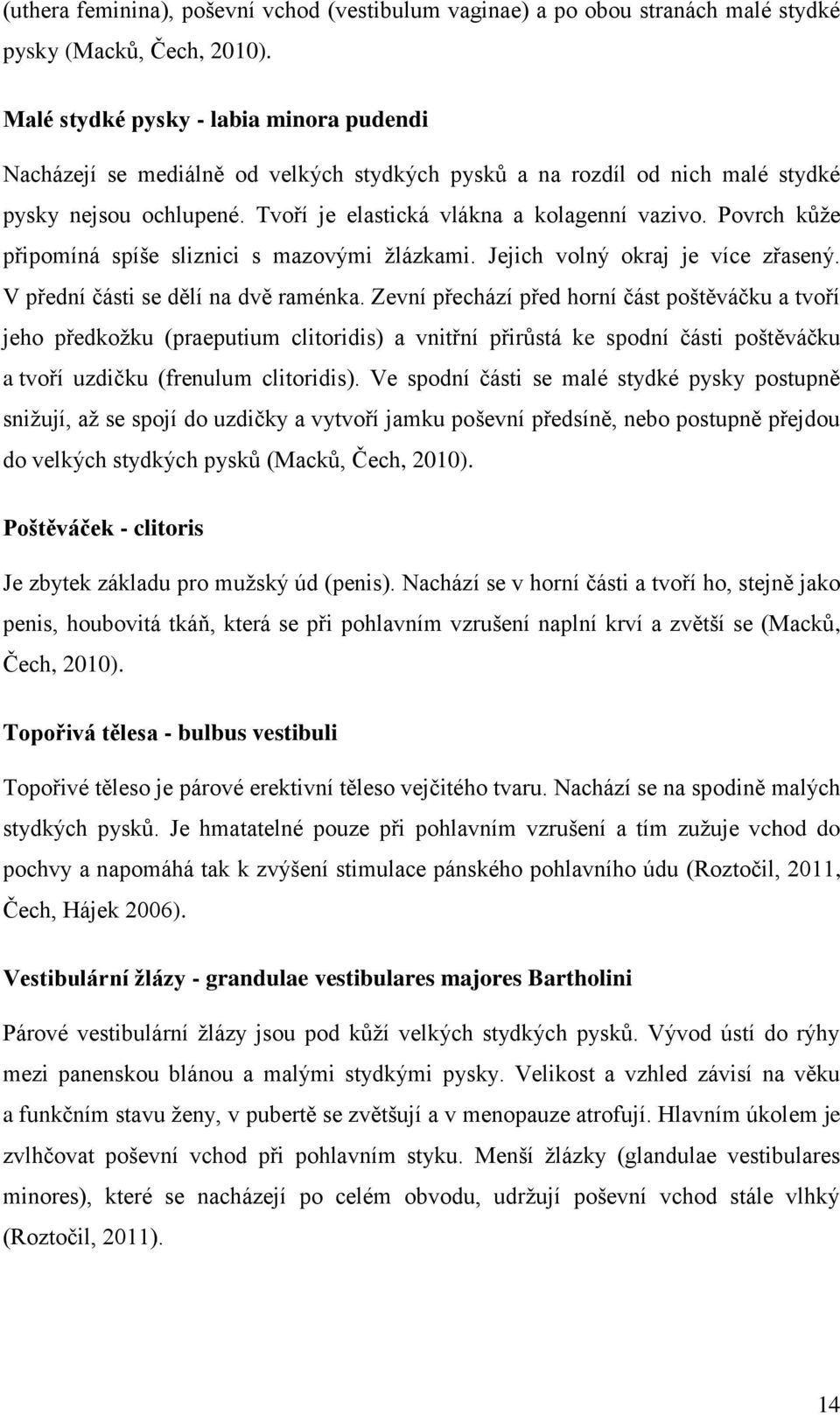 Povrch kůže připomíná spíše sliznici s mazovými žlázkami. Jejich volný okraj je více zřasený. V přední části se dělí na dvě raménka.
