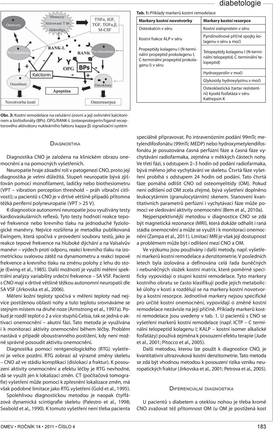 telopeptid) Hydroxyprolin v moči Glykosidy hydroxylyzinu v moči Osteoklastická (tartar rezistentní) kyselá fosfatáza v séru Kathepsin K Obr.