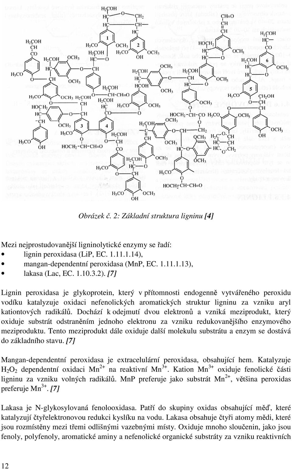 [7] Lignin peroxidasa je glykoprotein, který v přítomnosti endogenně vytvářeného peroxidu vodíku katalyzuje oxidaci nefenolických aromatických struktur ligninu za vzniku aryl kationtových radikálů.