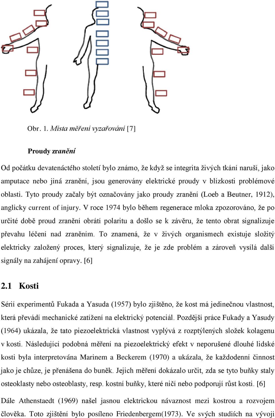 blízkosti problémové oblasti. Tyto proudy začaly být označovány jako proudy zranění (Loeb a Beutner, 1912), anglicky current of injury.