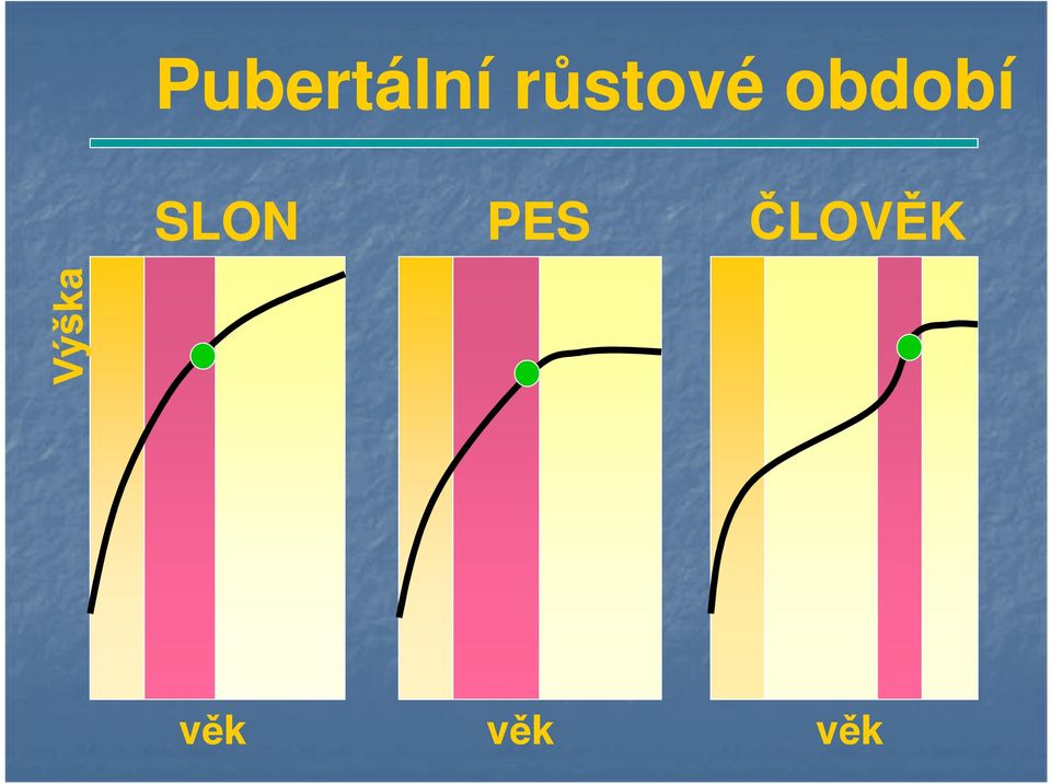 období SLON