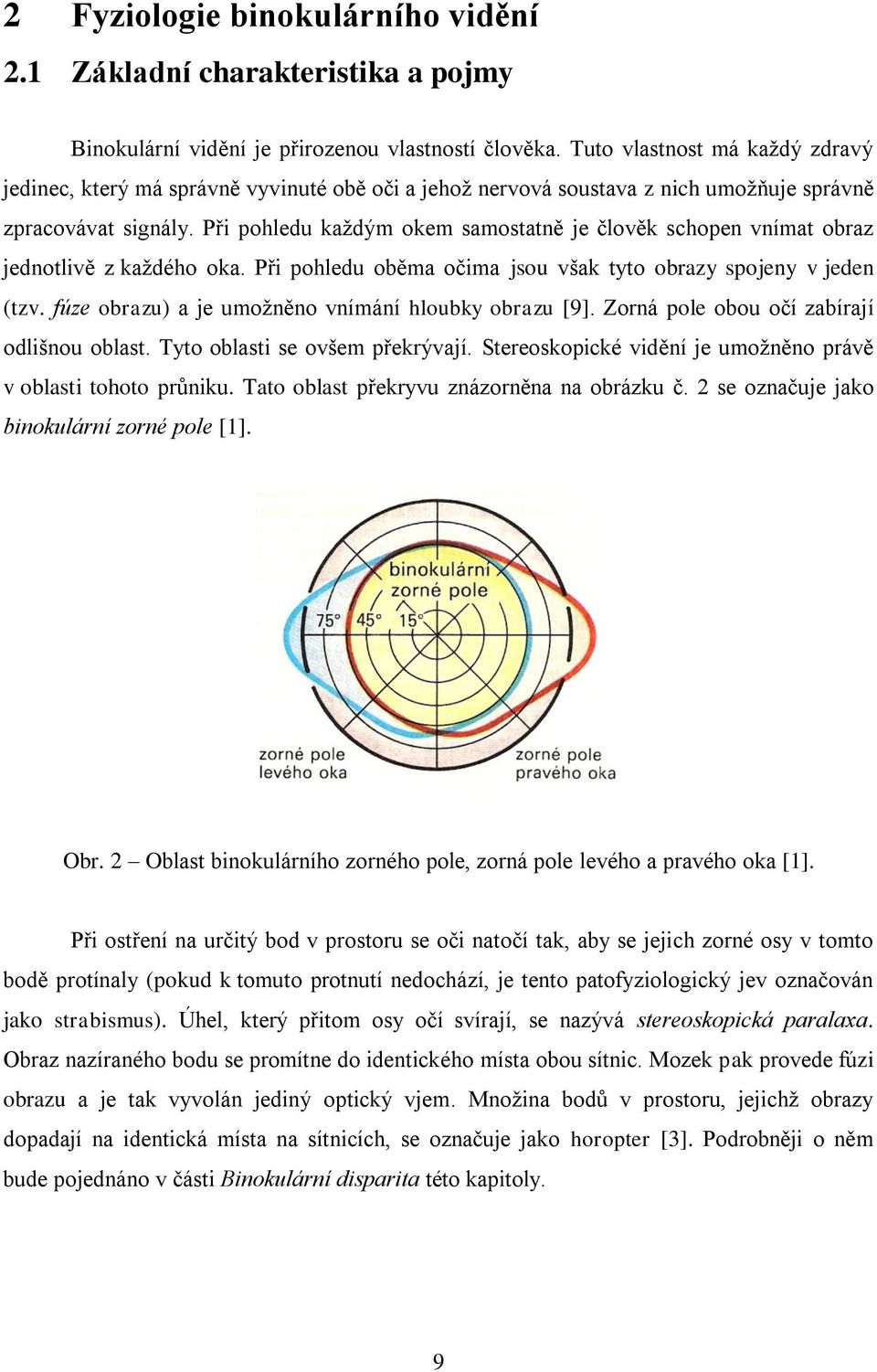 Při pohledu kaţdým okem samostatně je člověk schopen vnímat obraz jednotlivě z kaţdého oka. Při pohledu oběma očima jsou však tyto obrazy spojeny v jeden (tzv.