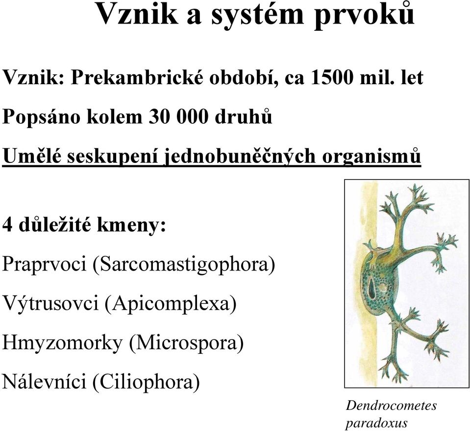 organismů 4 důležité kmeny: Praprvoci (Sarcomastigophora) Výtrusovci