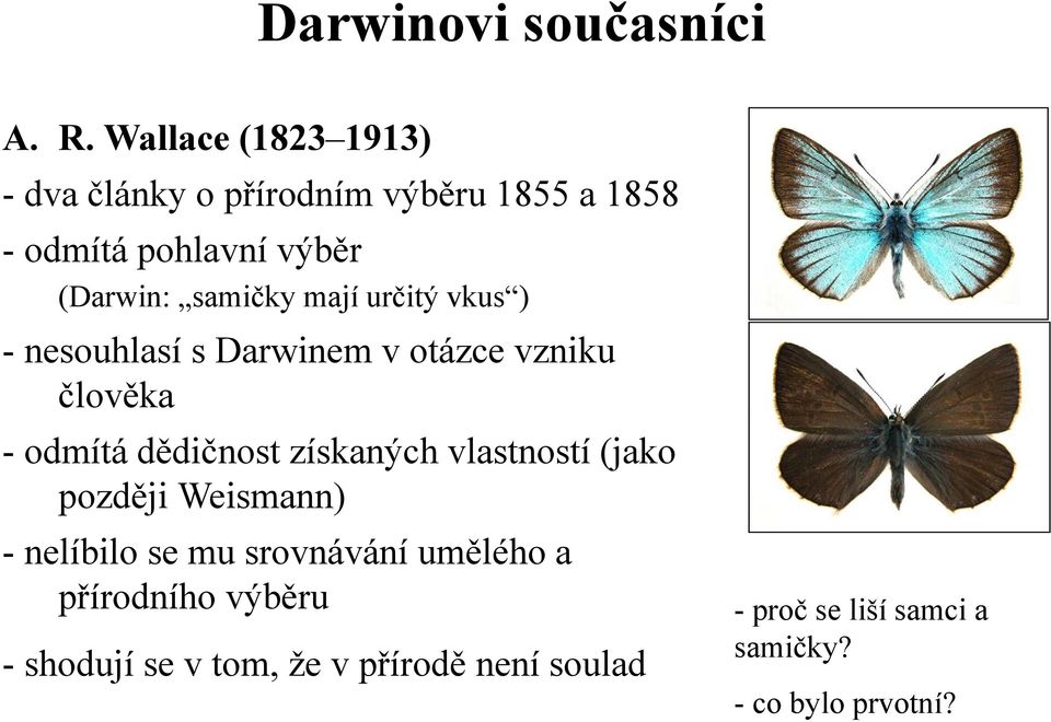 samičky mají určitý vkus ) - nesouhlasí s Darwinem v otázce vzniku člověka - odmítá dědičnost získaných