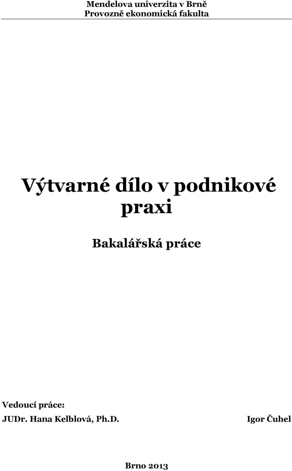 podnikové praxi Bakalářská práce Vedoucí