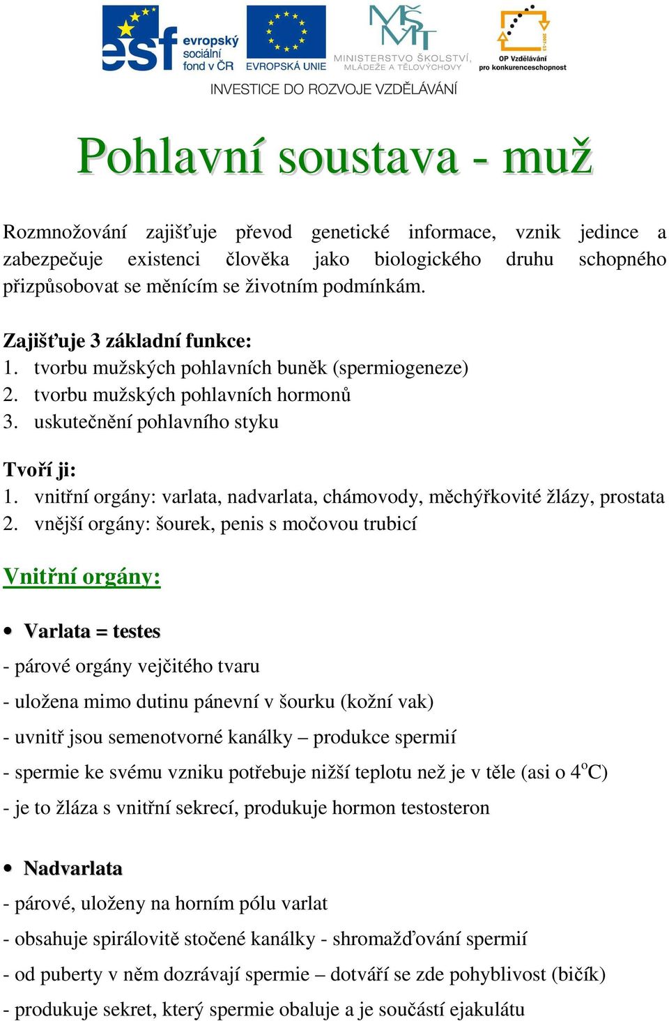 vnitřní orgány: varlata, nadvarlata, chámovody, měchýřkovité žlázy, prostata 2.