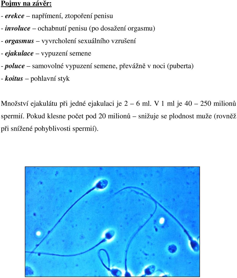 převážně v noci (puberta) - koitus pohlavní styk Množství ejakulátu při jedné ejakulaci je 2 6 ml.