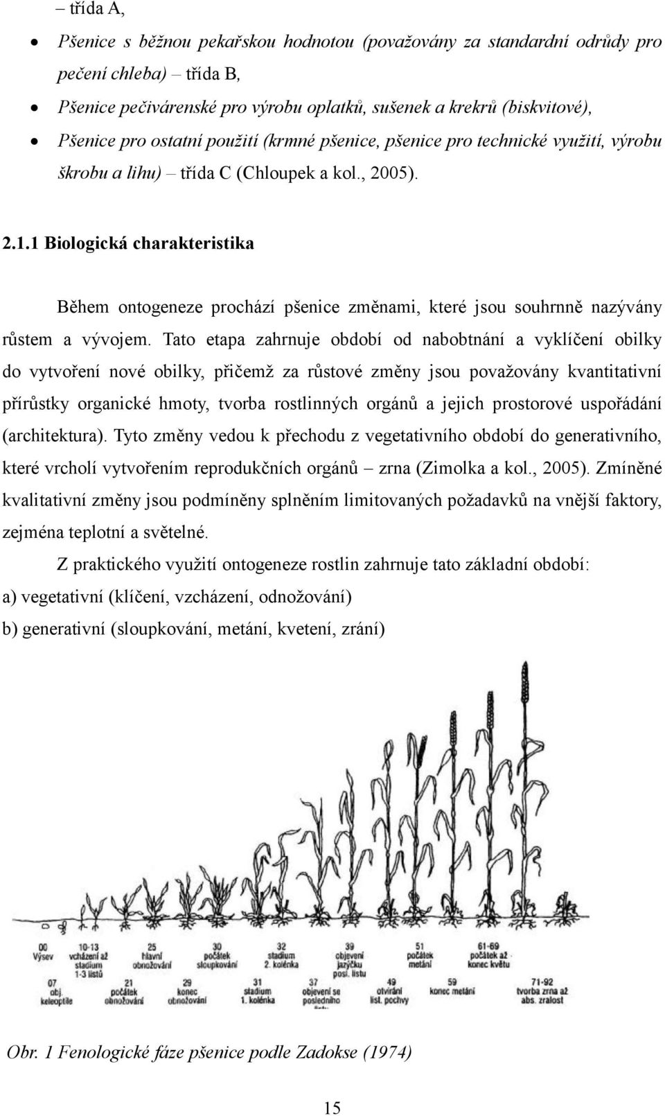 1 Biologická charakteristika Během ontogeneze prochází pšenice změnami, které jsou souhrnně nazývány růstem a vývojem.