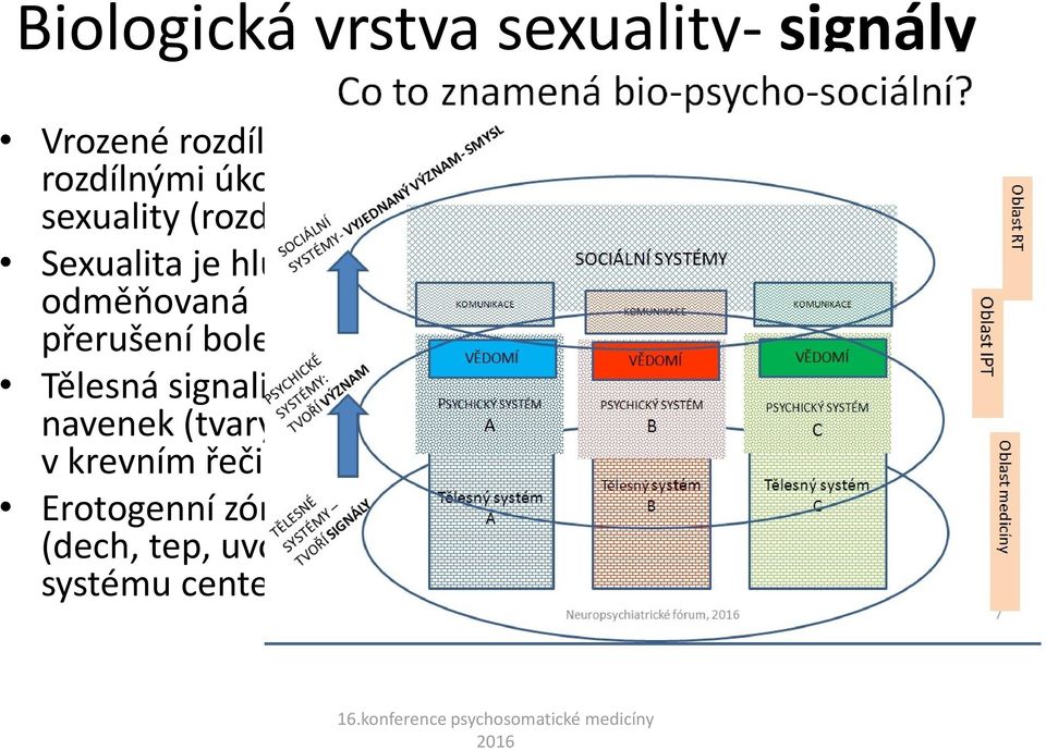 přerušení bolesti při sexu) Tělesná signalizace zevnitř (hladiny pohlavních hormonů) i navenek (tvary těla+ vliv na biomechaniku těla, redistribuce v krevním