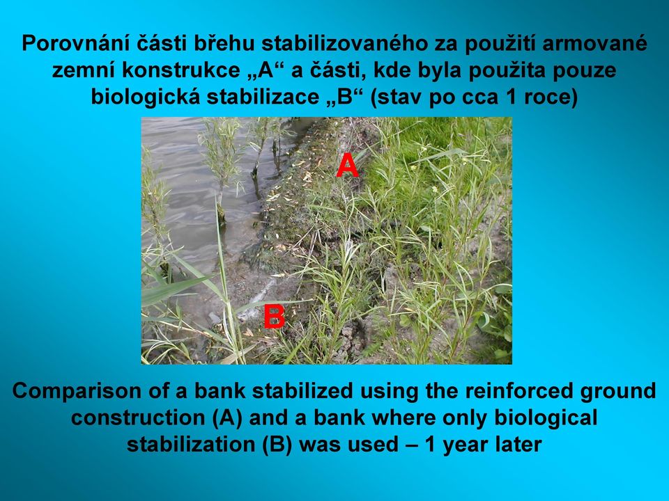 roce) A B Comparison of a bank stabilized using the reinforced ground