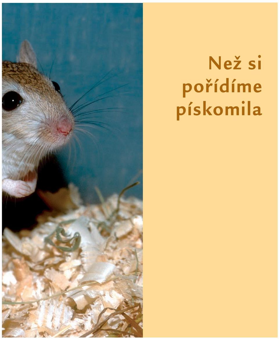 pískomila