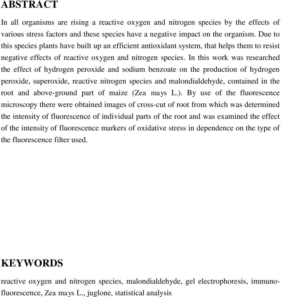In this work was researched the effect of hydrogen peroxide and sodium benzoate on the production of hydrogen peroxide, superoxide, reactive nitrogen species and malondialdehyde, contained in the