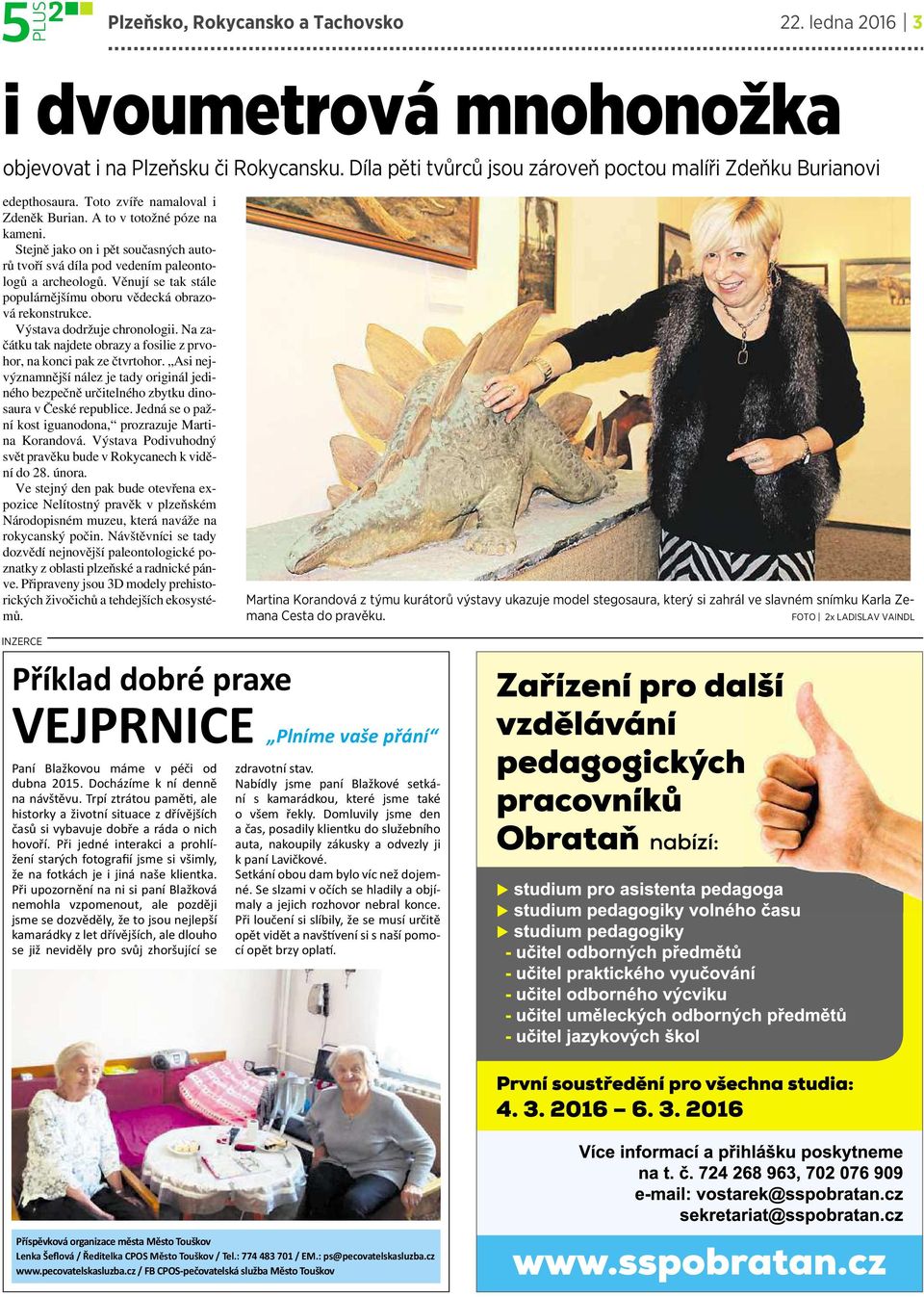 Věnují se tak stále populárnějšímu oboru vědecká obrazová rekonstrukce. Výstava dodržuje chronologii. Na začátku tak najdete obrazy a fosilie z prvohor, na konci pak ze čtvrtohor.