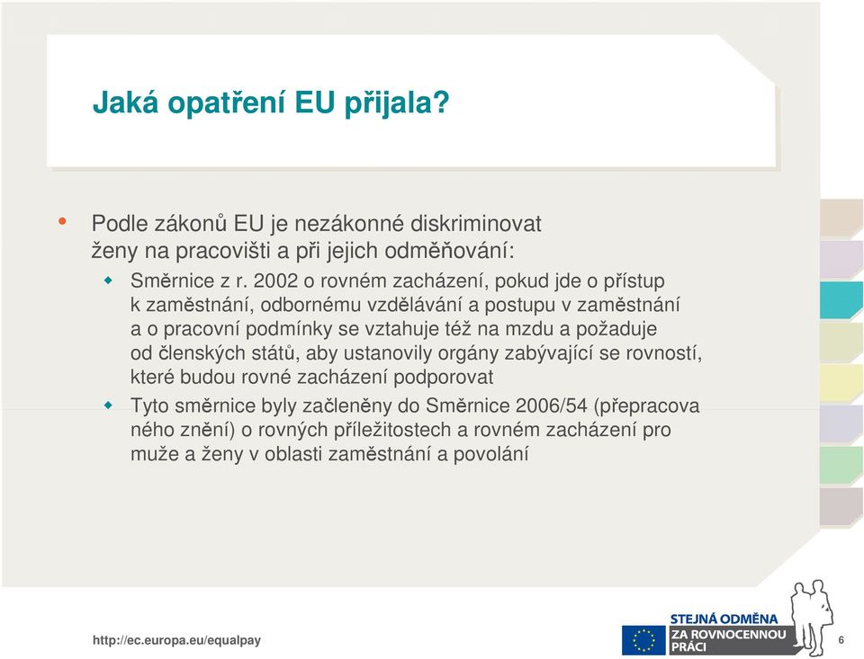 též na mzdu a požaduje od členských států, aby ustanovily orgány zabývající se rovností, které budou rovné zacházení podporovat Tyto