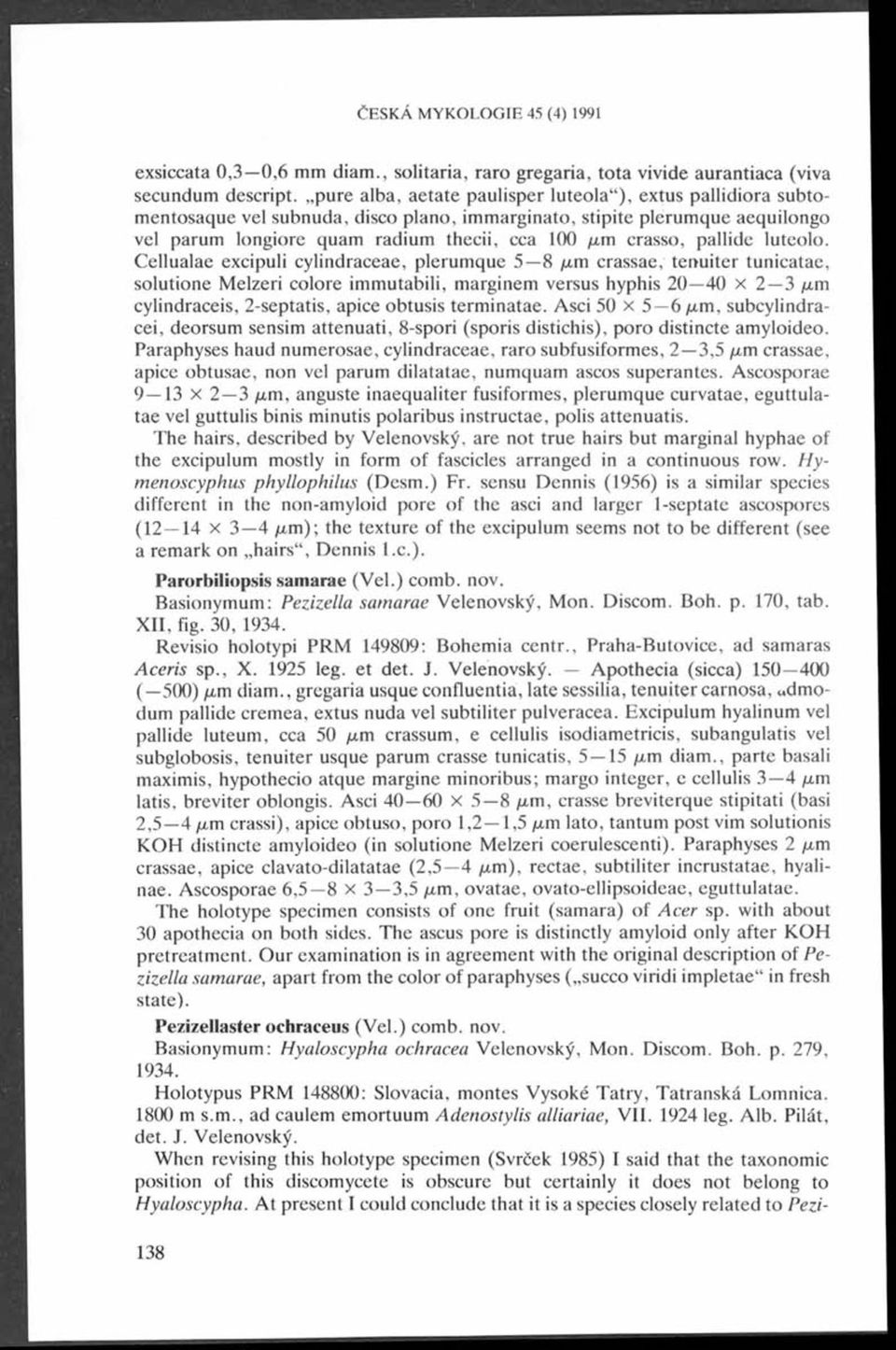 stipite plerum que aequilongo H vel parum longiore quam radium thecii, cca 100 /xm crasso, pallide luteolo.