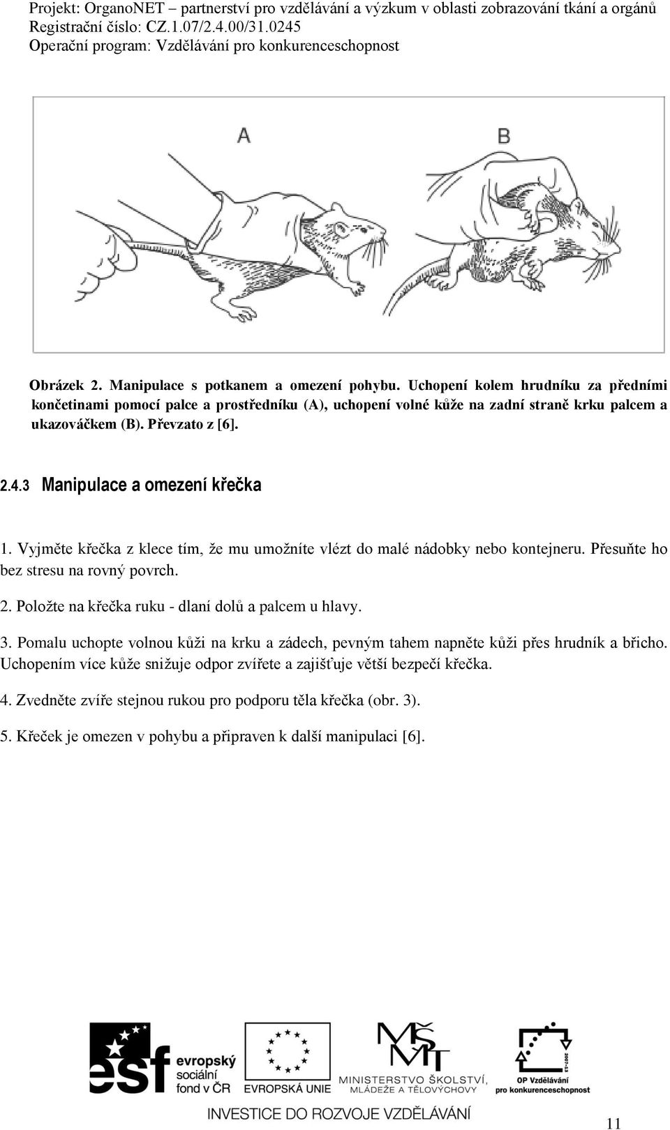 3 Manipulace a omezení křečka 1. Vyjměte křečka z klece tím, že mu umožníte vlézt do malé nádobky nebo kontejneru. Přesuňte ho bez stresu na rovný povrch. 2.
