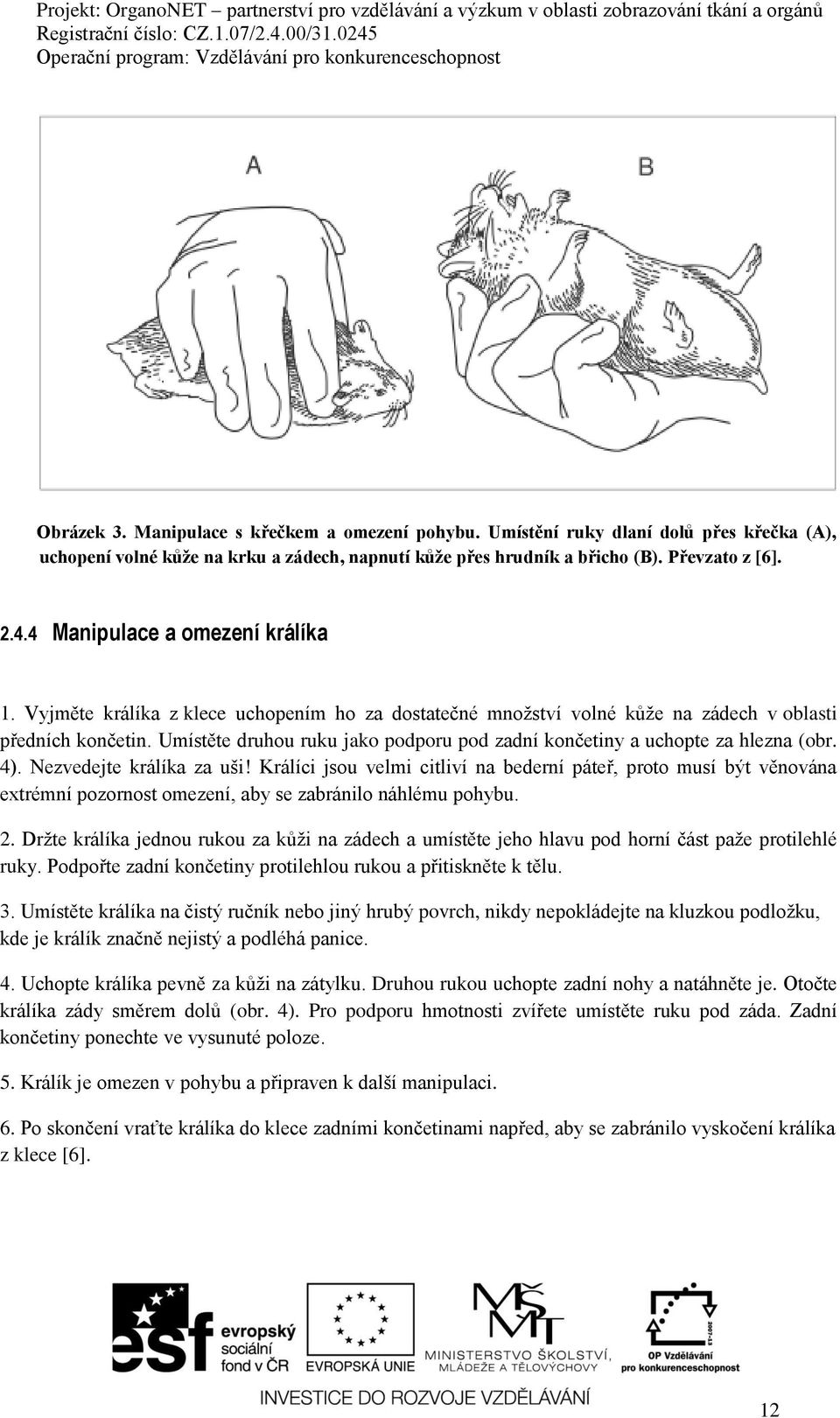 Umístěte druhou ruku jako podporu pod zadní končetiny a uchopte za hlezna (obr. 4). Nezvedejte králíka za uši!