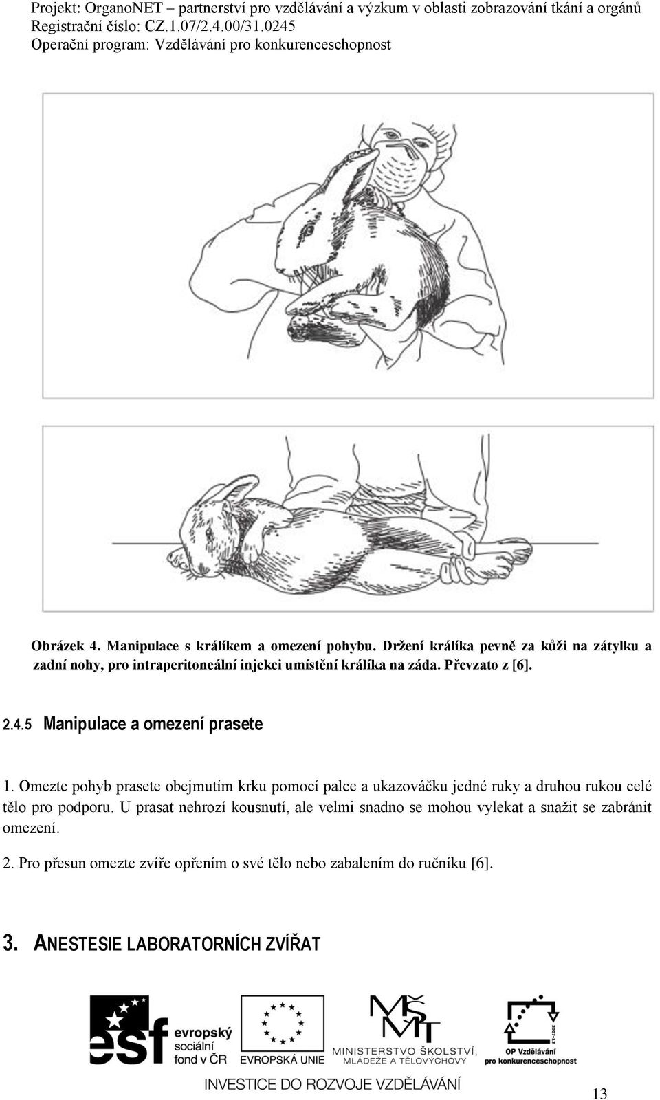 5 Manipulace a omezení prasete 1.